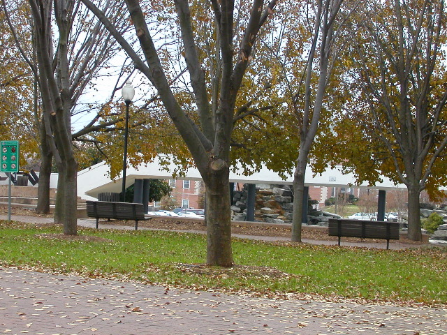 Sawtooth Center's park